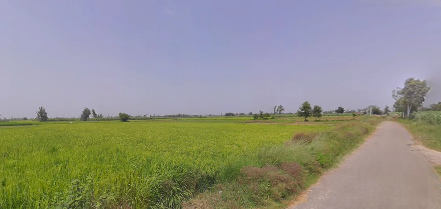 Dulheypur Aheer, Uttar Pradesh 244242, India