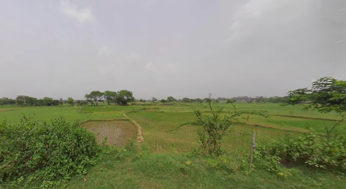 Kenjakura, West Bengal, India