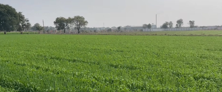 6GWM+WR Naneu, Phalodi, Rajasthan, India