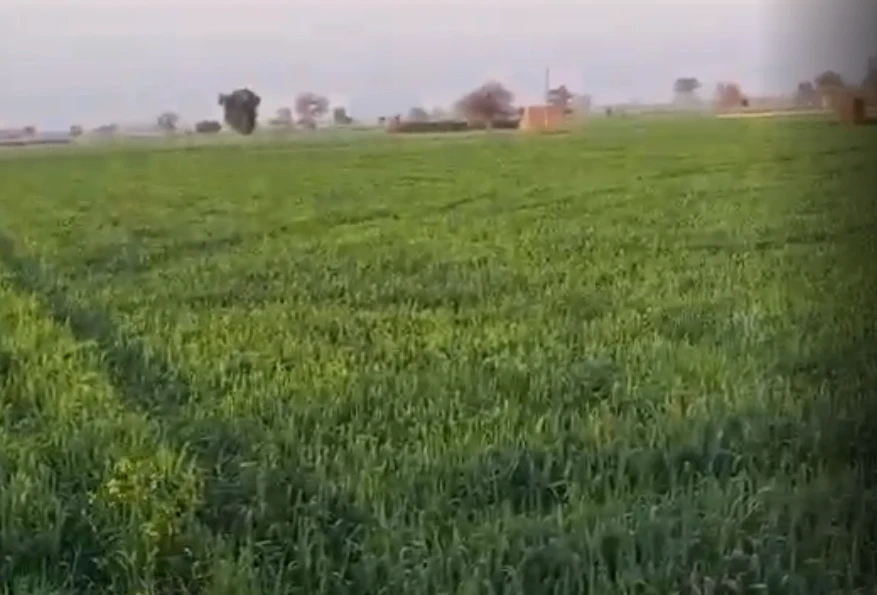 435M+W2P, Jaipur, Ramgarh Dam - Raisar Rd, Samred Kalan, Rajasthan 303109, India