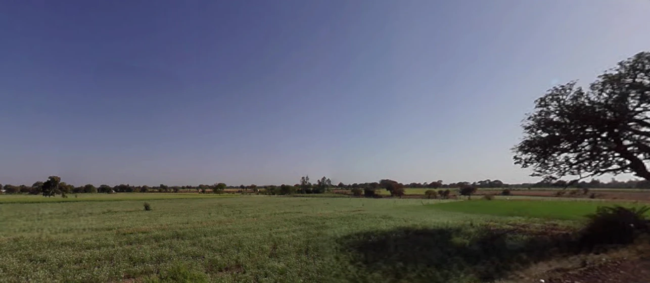 Bilara, Rajasthan 342602, India