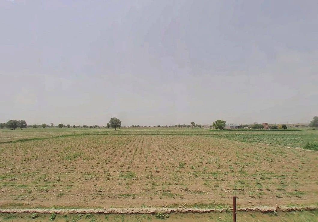 8WG3+FF9, Adarsh Colony, Suratgarh, Rajasthan 335804, India