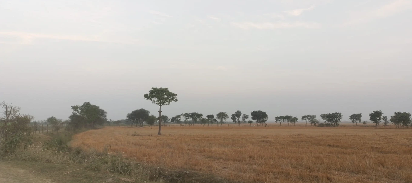 Barnagar, Madhya Pradesh 456771, India