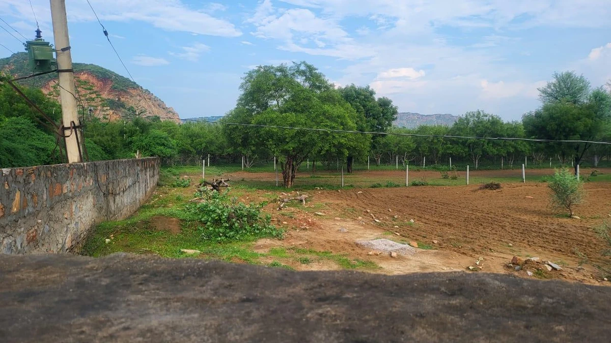 4XGH+X29, Ani, Rajasthan 303002, India