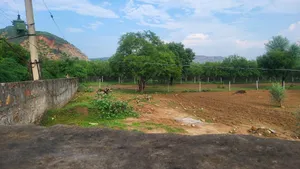 4XGH+X29, Ani, Rajasthan 303002, India preview 4