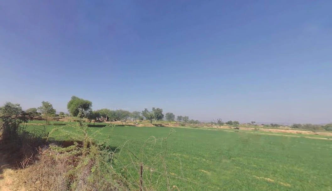Q725+9J2, Beejolao, Rajasthan, India