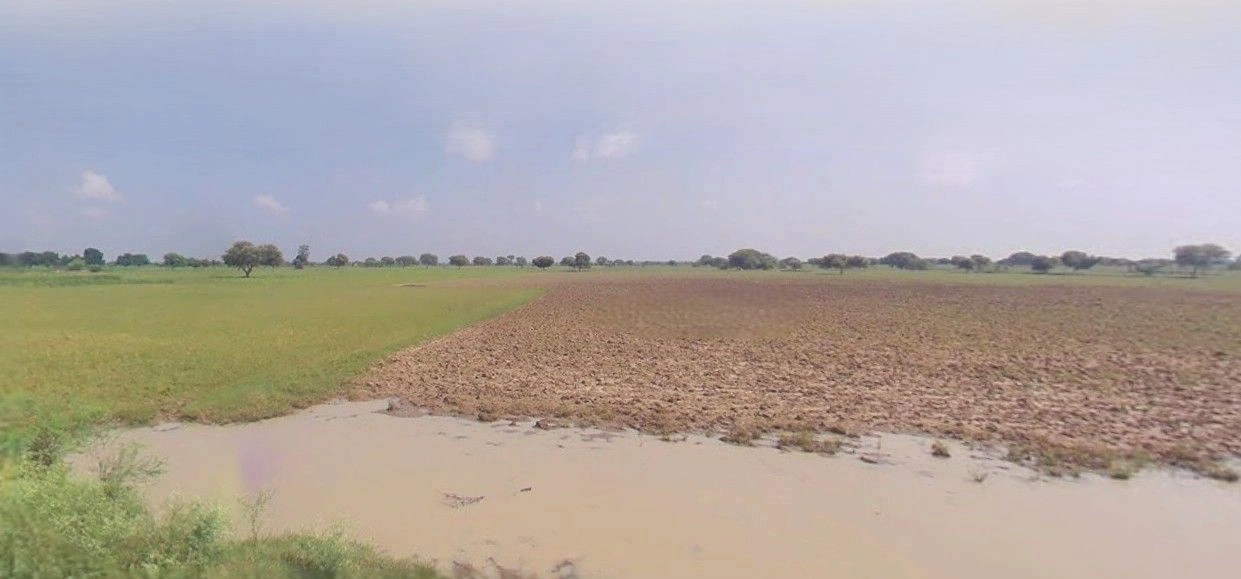 Dighal, Haryana 124107, India preview 2