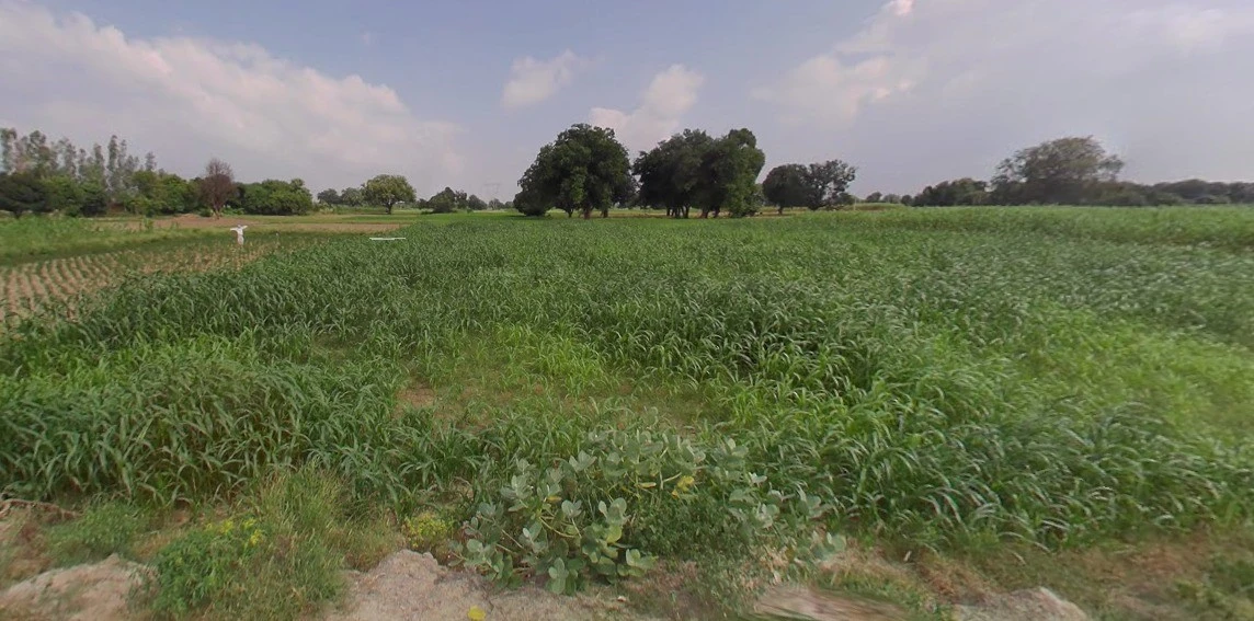 Nipaniya Jat, Madhya Pradesh, India