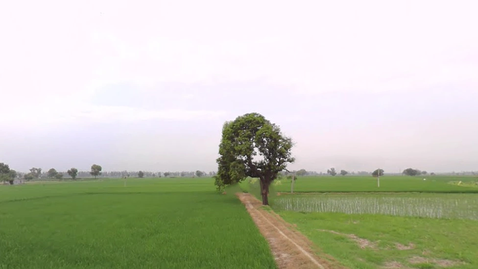 Rajound, Haryana 136044, India