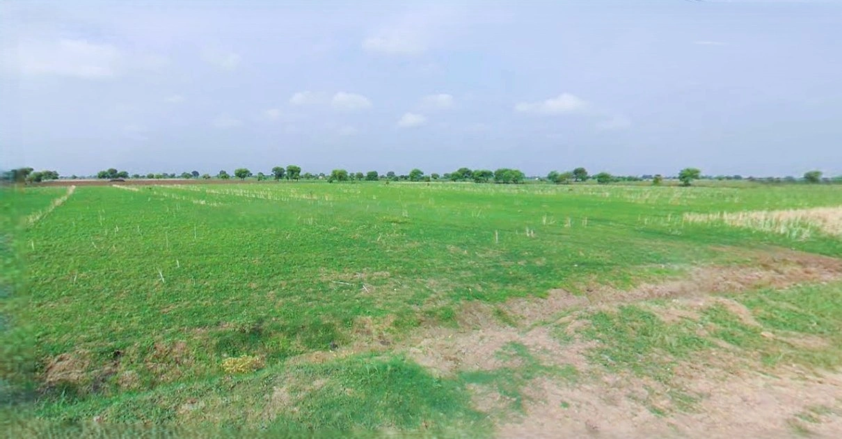 Anupgarh, Rajasthan 335701, India