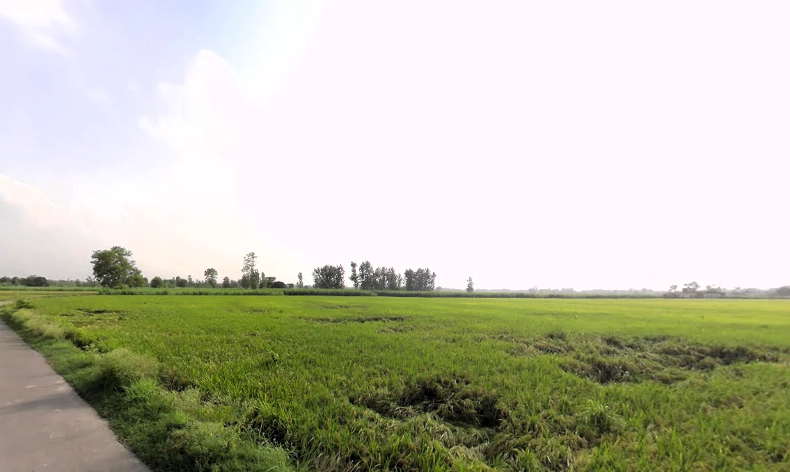 Nakur, Uttar Pradesh 247342, India preview 2