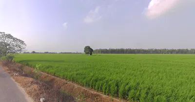Mant, Uttar Pradesh 281202, India preview 2