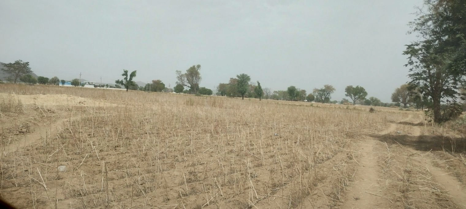 FV8W+Q4C, Chak Semli, Rajasthan 301021, India