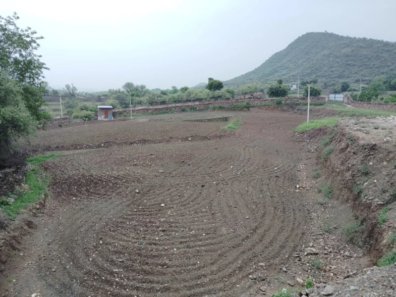 203, Junaguda, Delwara, Peepalwas, Rajasthan 313202, India preview 6