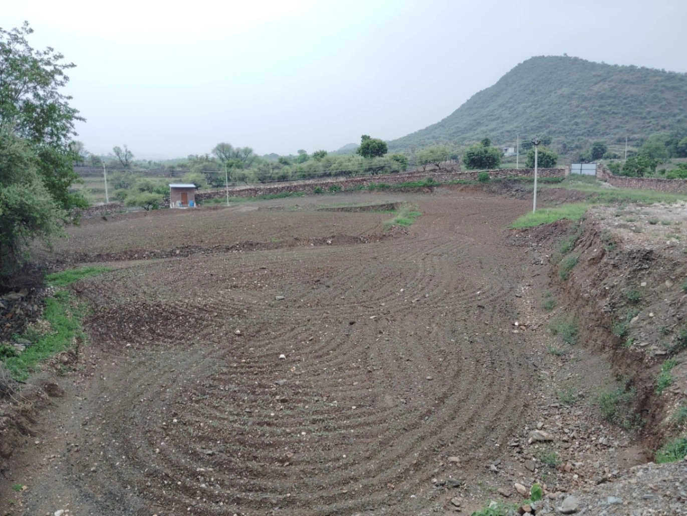 203, Junaguda, Delwara, Peepalwas, Rajasthan 313202, India