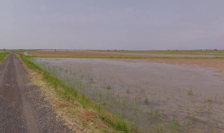Zankhi, Gujarat 382455, India