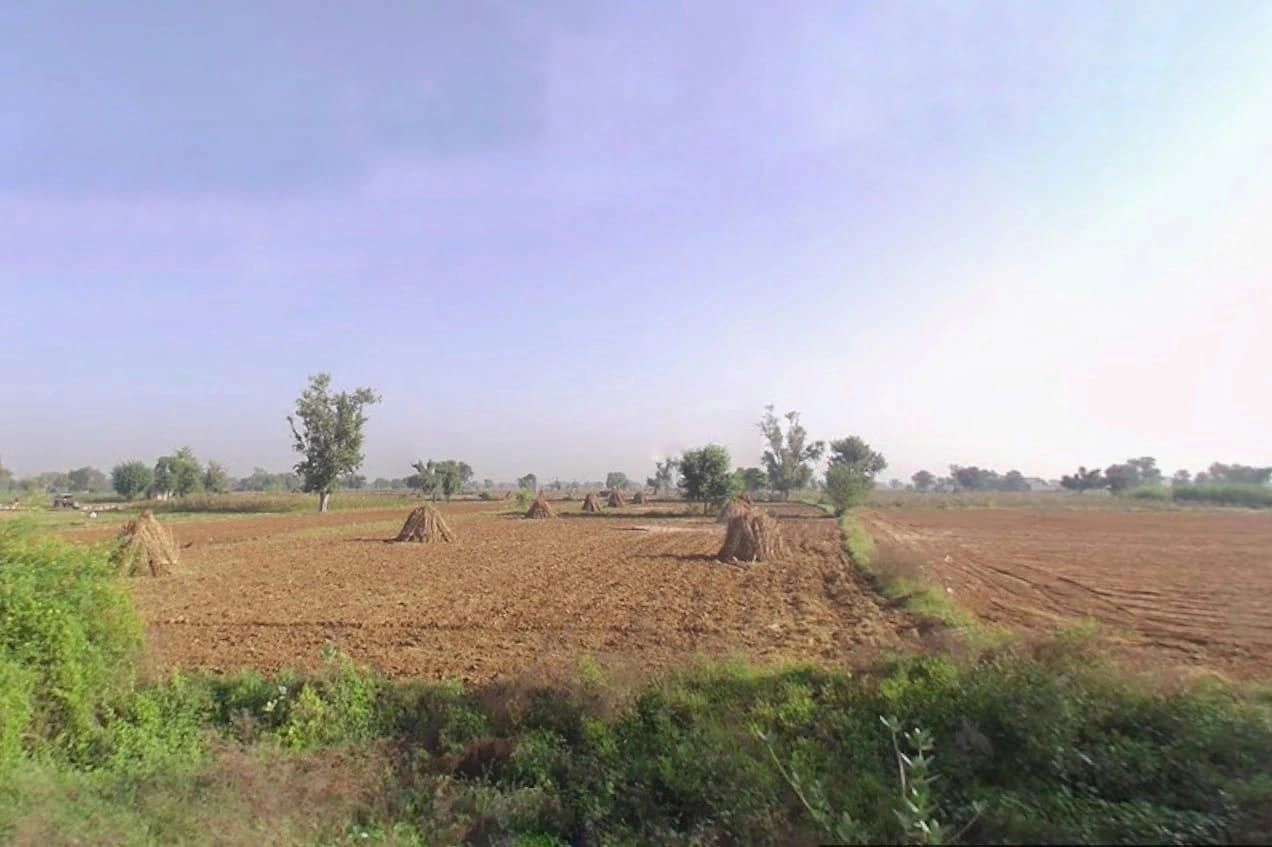 FVHP+CM Imlali, Rajasthan, India