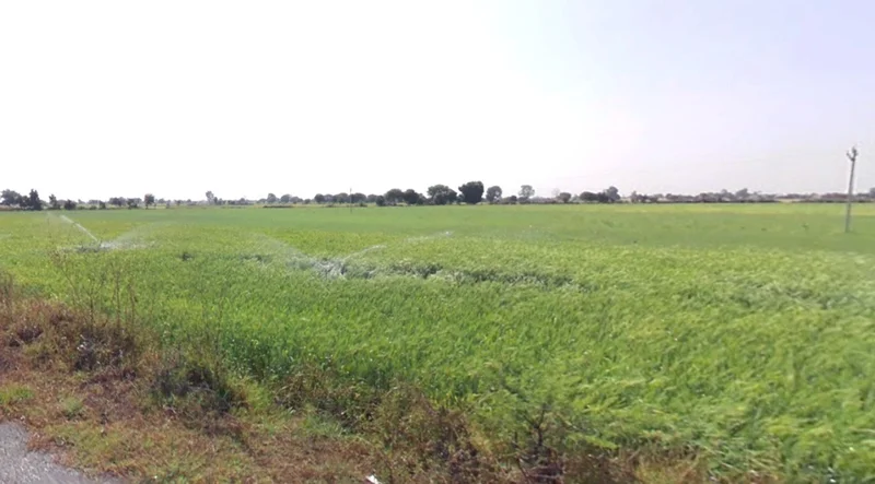 Kothi, Madhya Pradesh 485666, India preview 2