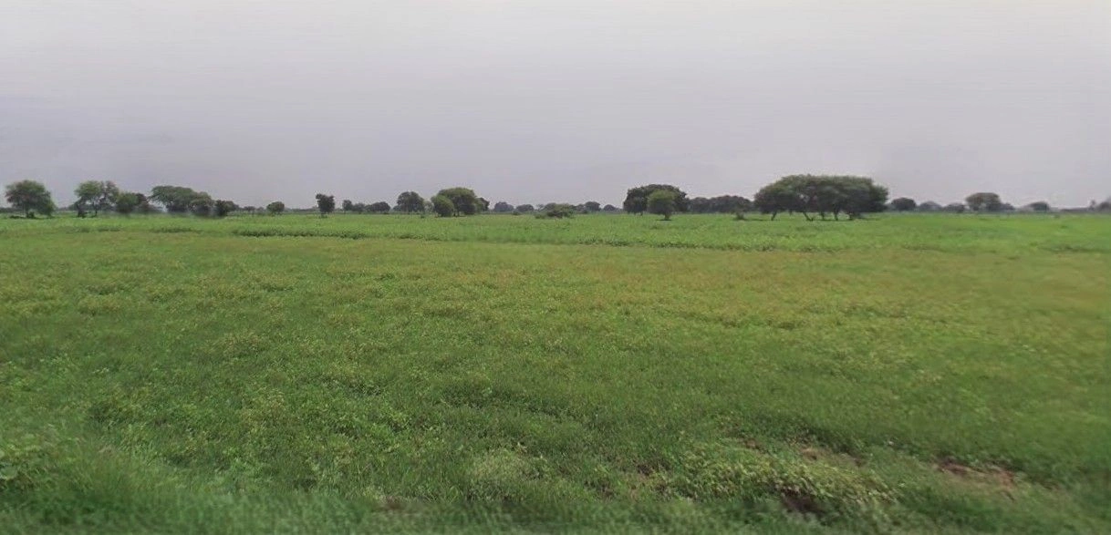 Ramnagar, Uttarakhand 244715, India