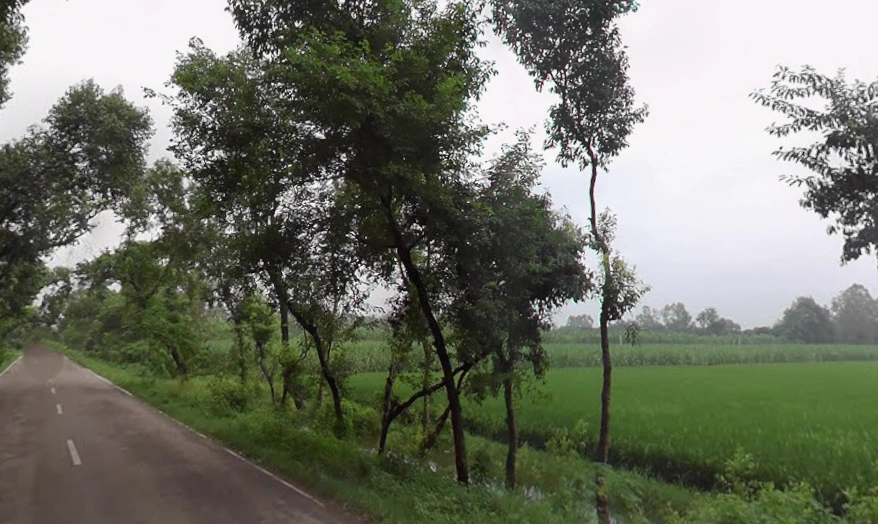 Mirzapur, Uttar Pradesh 247121, India