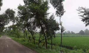 Mirzapur, Uttar Pradesh 247121, India preview 3