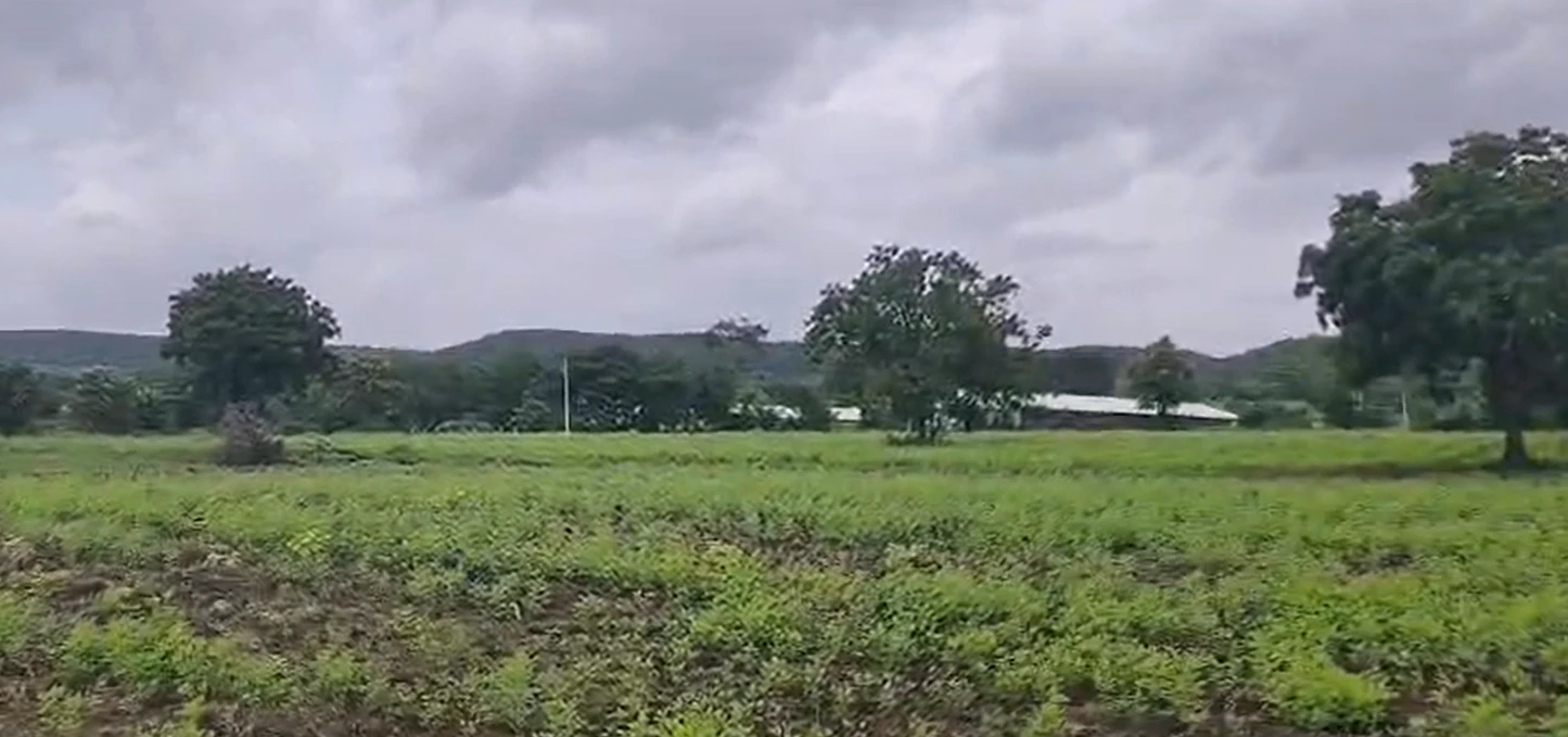 WF68+8V Masaipet, Medak, Telangana, India