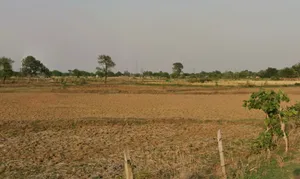 Koni, Bilaspur, Chhattisgarh, India preview 3