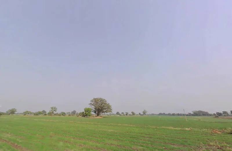 9VF9+C6M, Ghatiya, Madhya Pradesh 456550, India preview 3