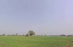 9VF9+C6M, Ghatiya, Madhya Pradesh 456550, India preview 3