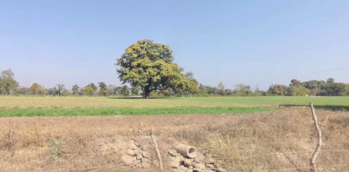 Barkhedasoma, Madhya Pradesh 455221, India