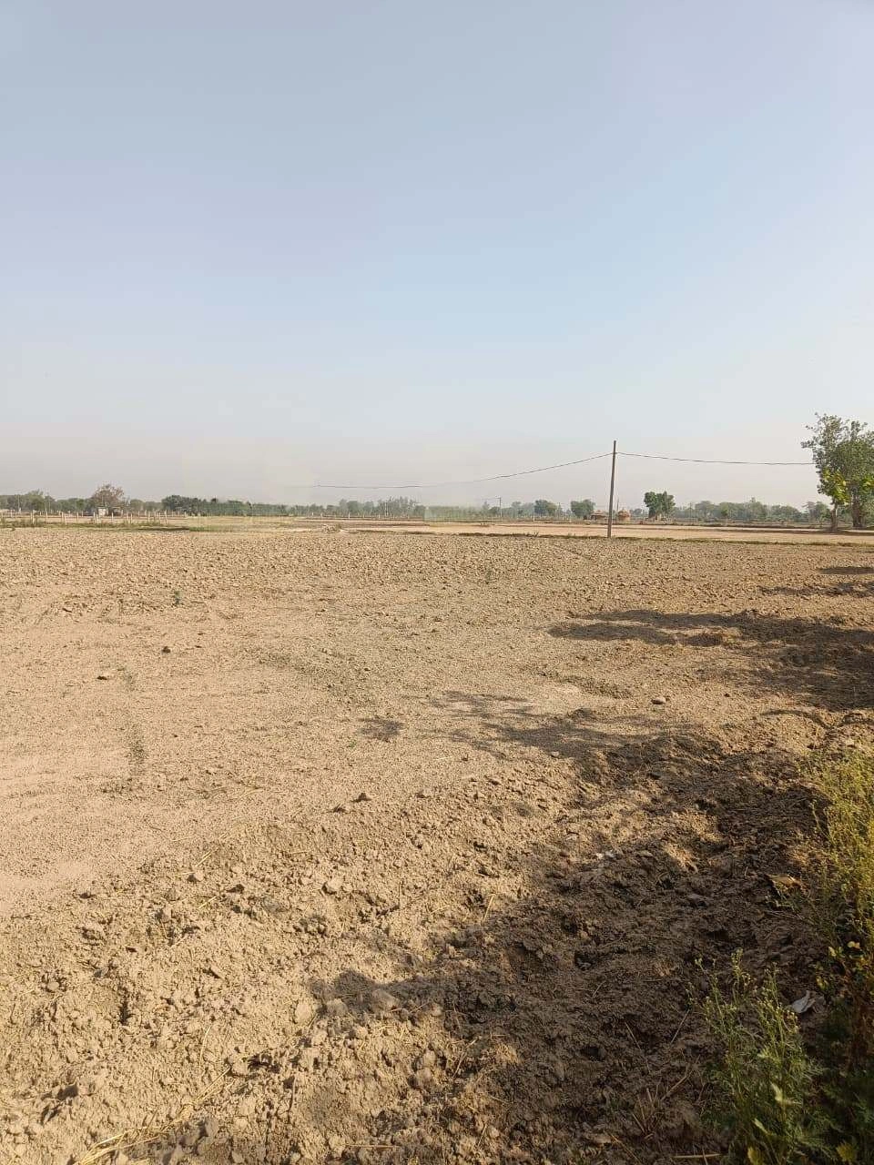 Ajhai Kalan, Uttar Pradesh 281406, India
