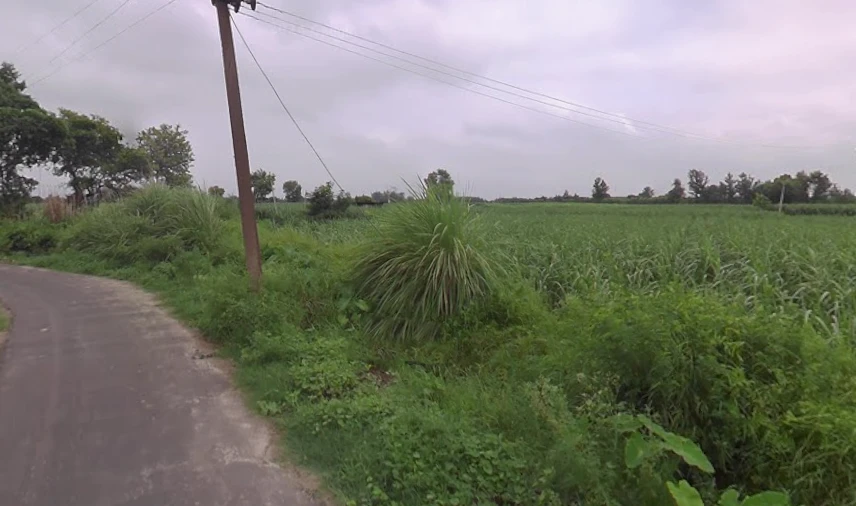 Jansath, Uttar Pradesh 251314, India