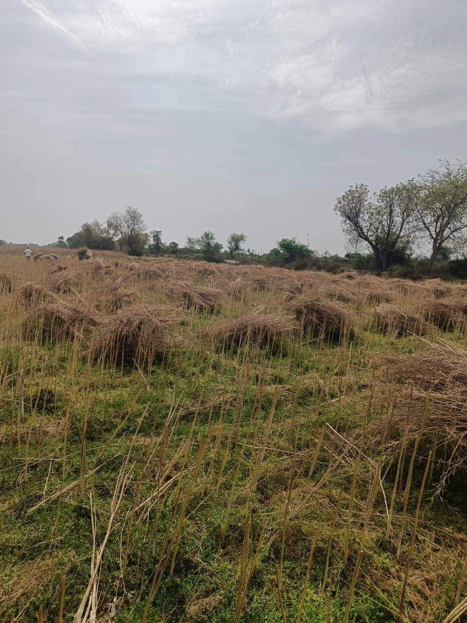 Gharwari, Rajasthan 321201, India