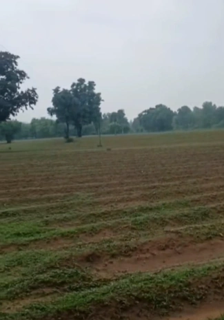PJ6J+GG Padampur, Sri Ganganagar, Rajasthan, India