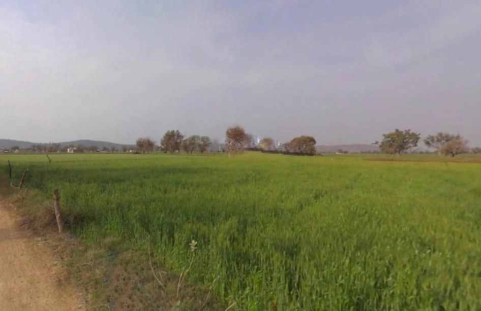 Khunteta Khurd, Rajasthan 301001, India