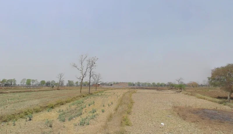 Kharora, Chhattisgarh 493225, India preview 2