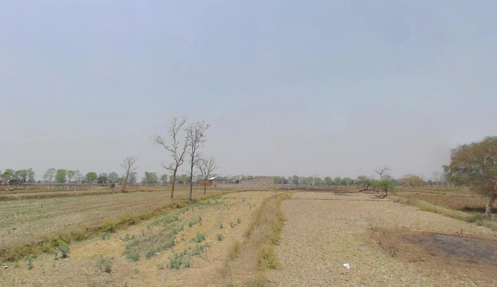 Kharora, Chhattisgarh 493225, India