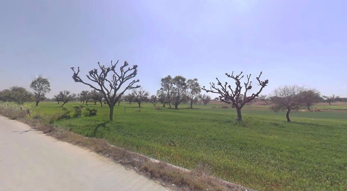 Khatoo, Rajasthan 332602, India