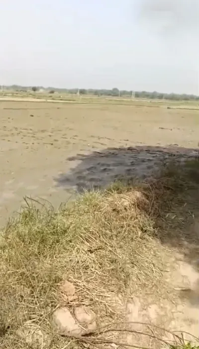Anupshahar Khadar, Anupshahr, Bulandshahr, Uttar Pradesh, India preview 3