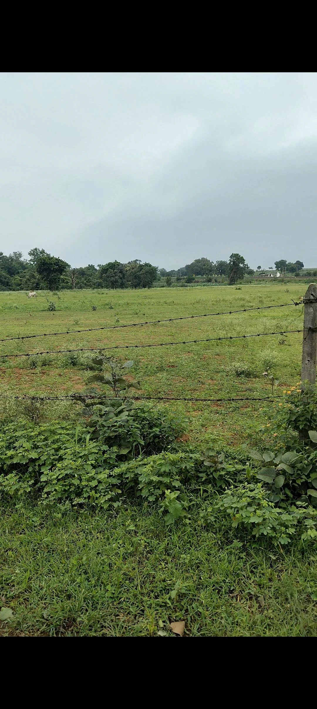 Bisapur, Chhindwara, Madhya Pradesh 480001, India