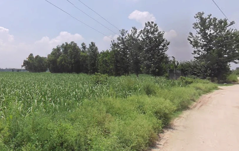 Satpura, Uttar Pradesh 247129, India