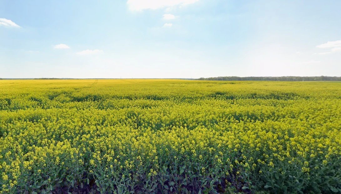 Bamhori, Madhya Pradesh 464551, India