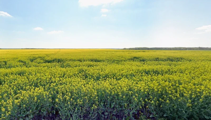 Bamhori, Madhya Pradesh 464551, India preview 3