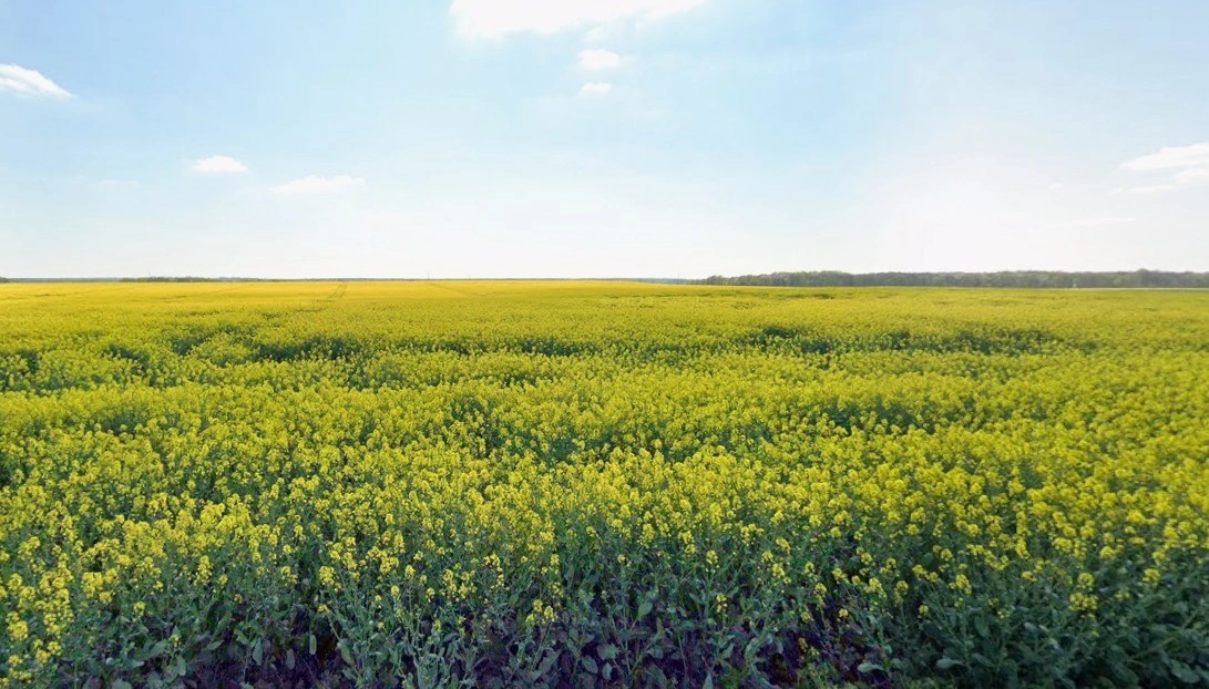 Bamhori, Madhya Pradesh 464551, India