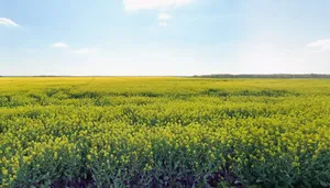 Bamhori, Madhya Pradesh 464551, India preview 3