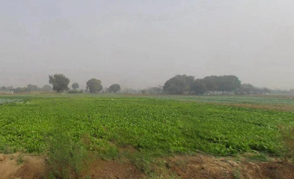 Sector Rd, SRS Pearl, Sector 87, Neharpar Faridabad, Faridabad, Haryana, India