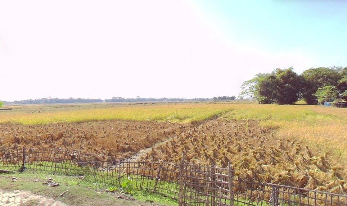 783W+3HV, Morigaon, Assam 782105, India