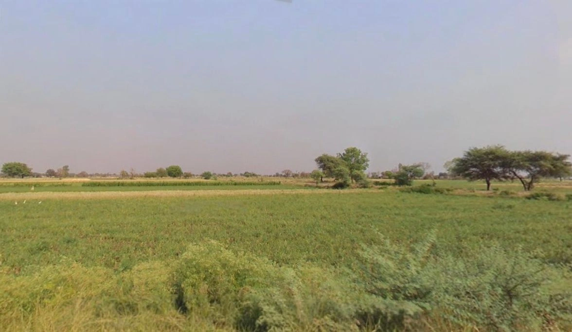 786R+PP9, Banderbela, Madhya Pradesh 456313, India