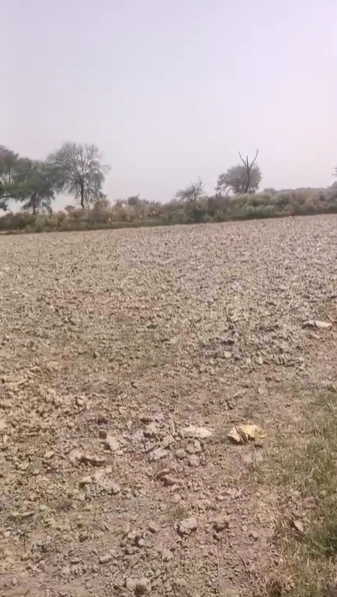 Panigaon Khader, Mathura, Uttar Pradesh 281121, India