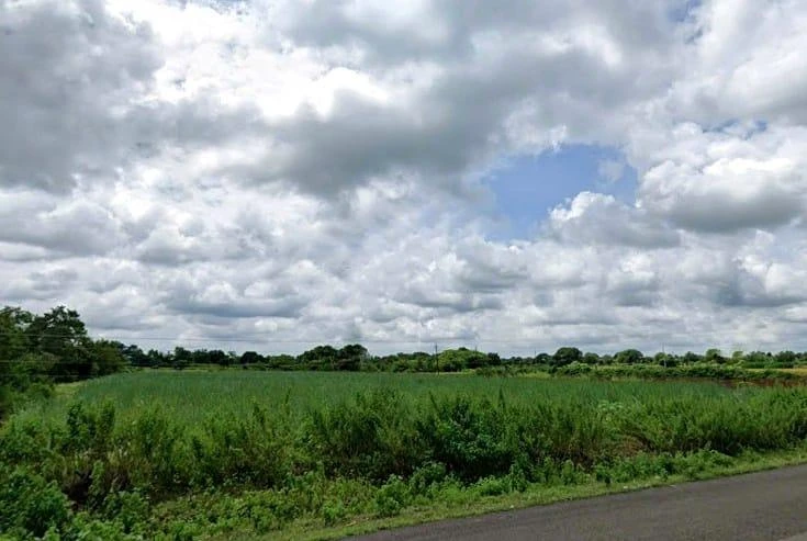 RWFG+JRV, Sastapur, Karnataka, India